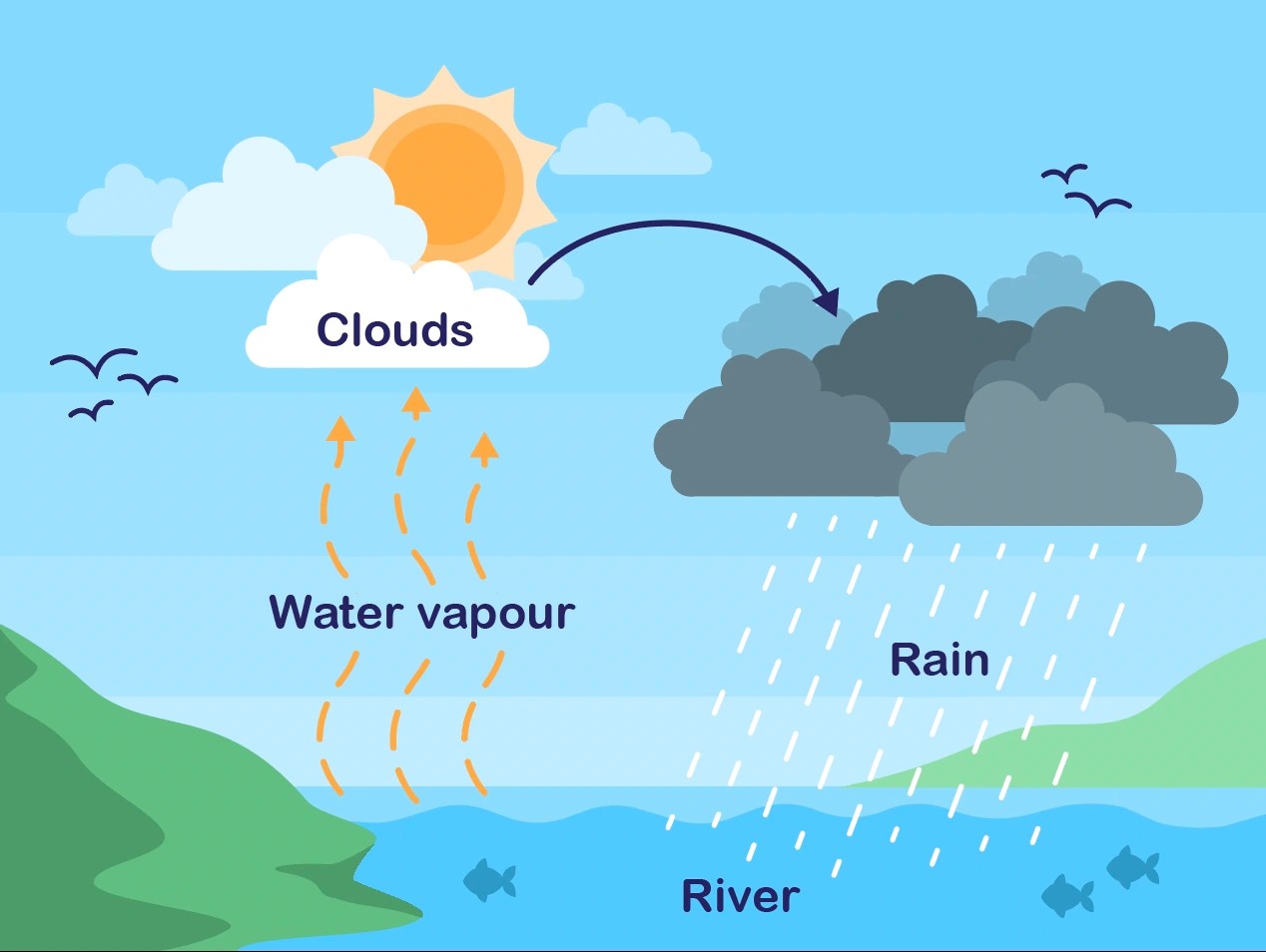 Animal Life Cycle Primary 4 Science Geniebook